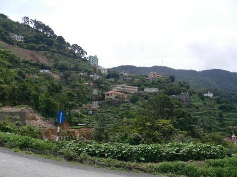 P1030576a.jpg