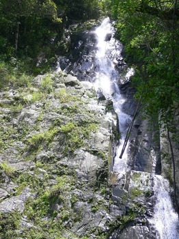 P1030592c.jpg